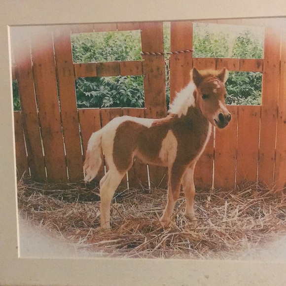 Picture - Picture 1 of 2